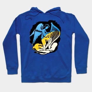 Ukrainian musician Hoodie